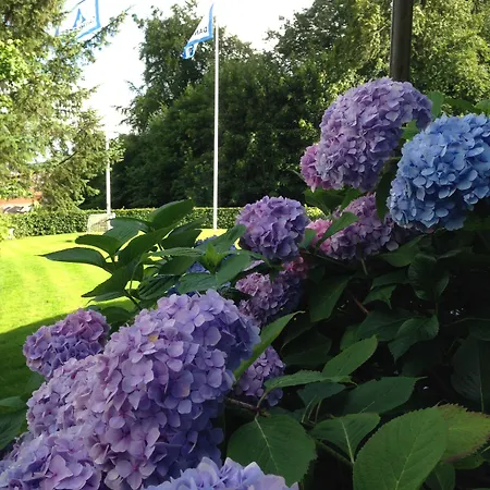 旅馆 科灵大宿舍酒店