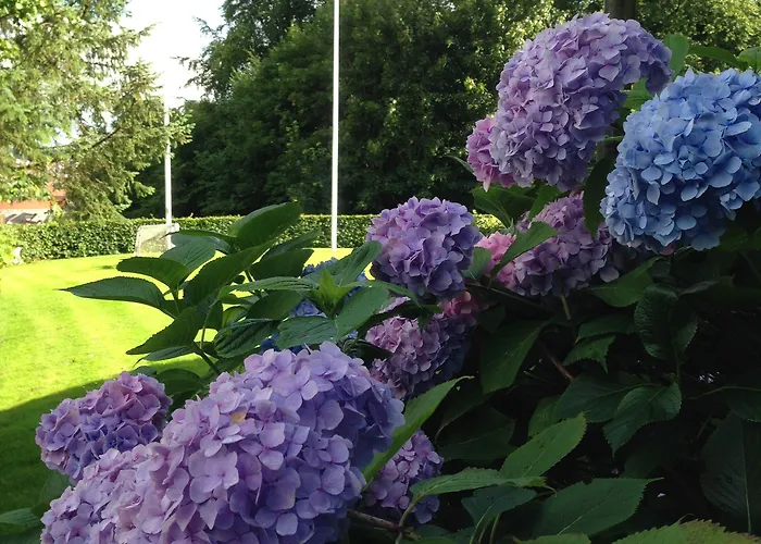 Vandrarhem Danhostel